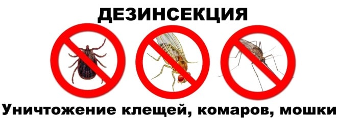 Сотрудники санэпидемстанции. Уничтожение постельных клопов. Дезинфекция. Дезинсекция.Дератизация ROS-DEZ