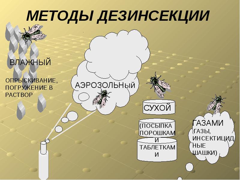 Уничтожение насекомых. Уничтожения вредителей. Акарицидная обработка. Клопы,муравьи, насекомые ROS-DEZ