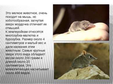Оказываем услуги дезинсекции. Истребление насекомых. Санитарная обработка. Клопы, тараканы. ROS-DEZ Вызвать СЭС. Уничтожения крыс. Санитарная обработка. Клопы,муравьи, насекомые ROS-DEZ