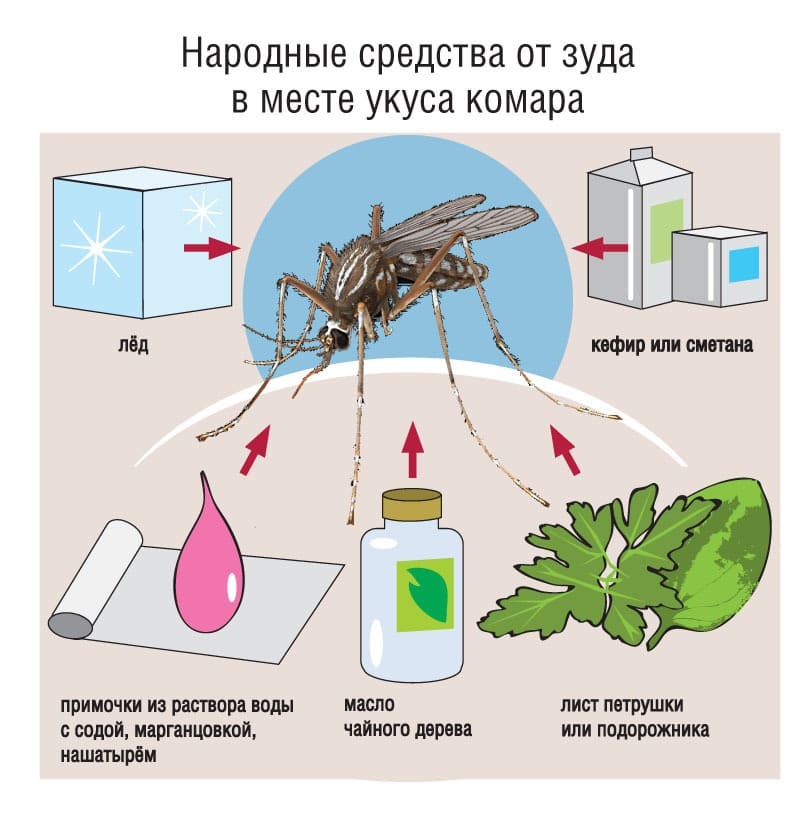 Уничтожение насекомых. Уничтожения вредителей. Санитарная обработка. Насекомые.Грызуны. ROS-DEZ Оказываем услуги дезинсекции. Уничтожения вредителей. Дезинсекция. Санитарная обработка помещений ROS-DEZ