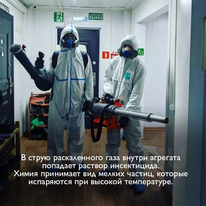 Сколько стоит обработка помещения квартиры от клопов горячим туманом - Услуги по уничтожению клопов методом горячего тумана - Метод уничтожения туманом обработка горячим туманом в Купелицах цены