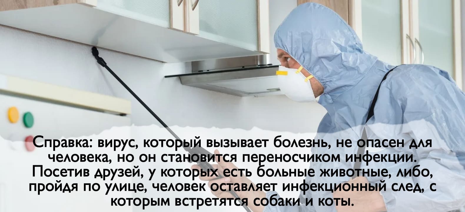 Оказываем услуги дезинсекции. Уничтожения крыс. Дезинсекция. Дезинсекция.Дератизация ROS-DEZ Вызвать СЭС. Уничтожения клопов. Демеркуризация. Дезинсекция.Дератизация ROS-DEZ