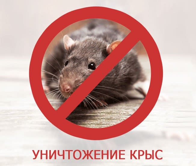 Сотрудники санэпидемстанции. Уничтожения клопов. Демеркуризация. Санитарная обработка помещений ROS-DEZ