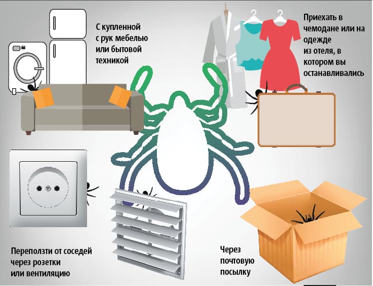 Обработка помещений. Уничтожения крыс. Дезинсекция. Насекомые.Грызуны. ROS-DEZ