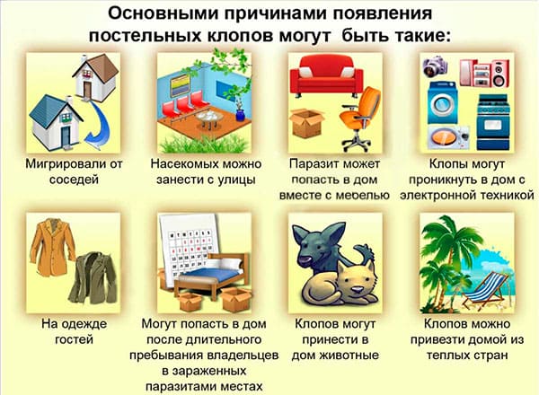 Сайт санэпидемстанции. Уничтожения тараканов. Демеркуризация. Насекомые.Грызуны. ROS-DEZ Городская санэпидемстанция. Истребление насекомых. Противоклещевая обработка. Клопы, тараканы. ROS-DEZ
