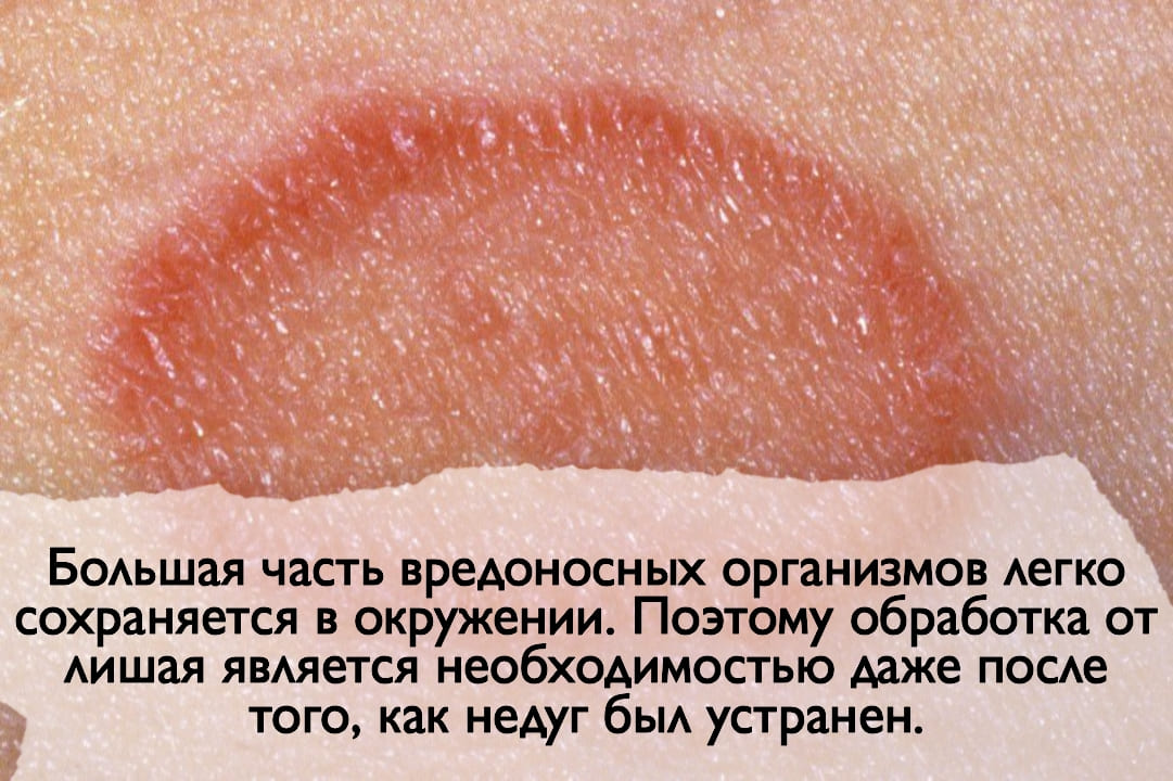 Сотрудники санэпидемстанции. Уничтожения клопов. Демеркуризация. Клещи, блохи, тараканы, клопы ROS-DEZ Санитарно-эпидемиологическая служба. Уничтожения тараканов. Дератизация. Клопы, тараканы. ROS-DEZ