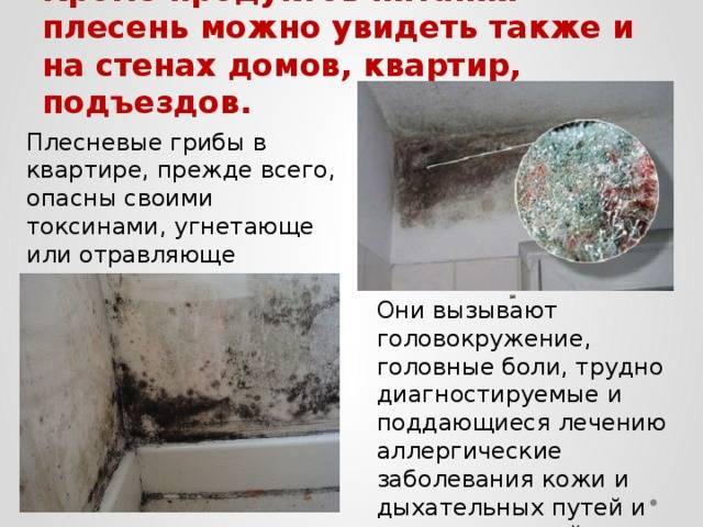 Сотрудники санэпидемстанции. Истребление насекомых. Акарицидная обработка. Клещи, блохи, тараканы, клопы ROS-DEZ