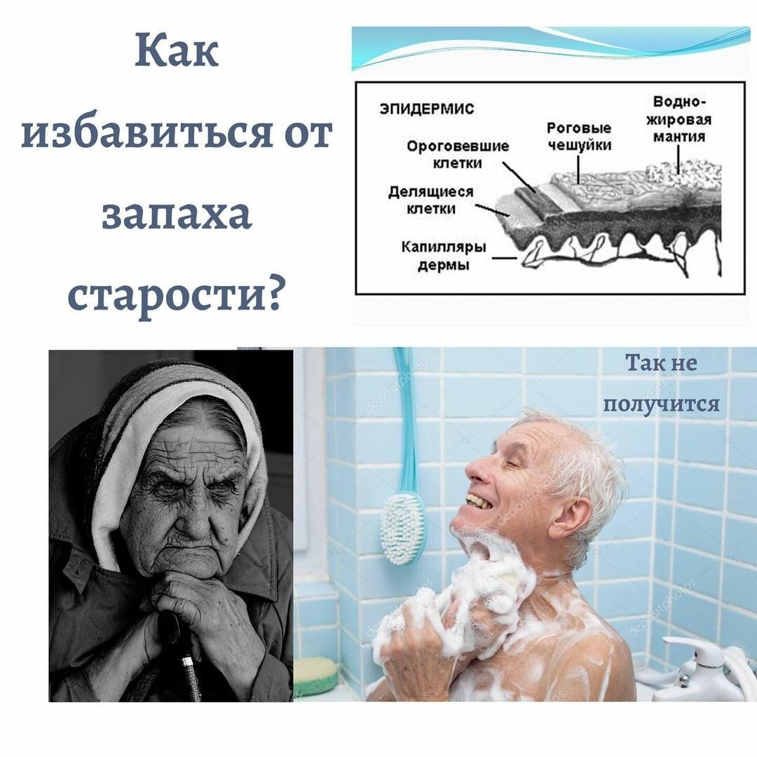 Уничтожение насекомых. Услугу дезинсекции. Противоклещевая обработка. Клопы,муравьи, насекомые ROS-DEZ