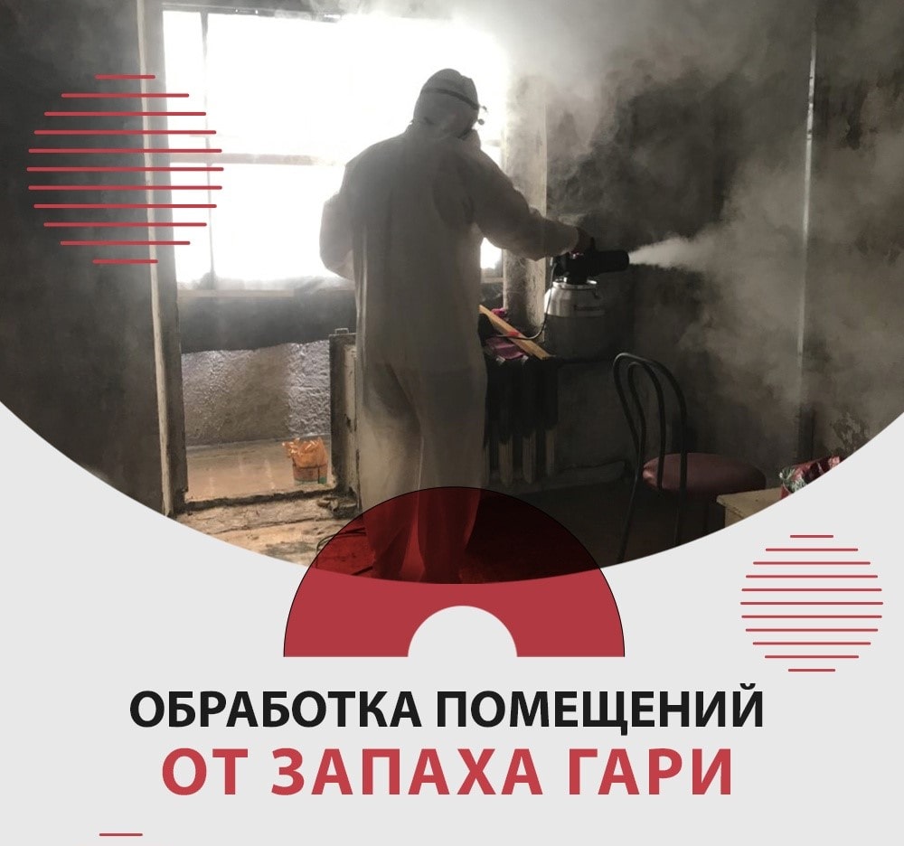 Уничтожение клопов. Уничтожить насекомых. Дезинфекция. Насекомые.Грызуны. ROS-DEZ