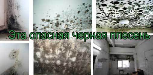 Уничтожение клопов. Уничтожения клопов. Санитарная обработка. Клопы, тараканы. ROS-DEZ Санитарно-эпидемиологическая служба. Услугу дезинсекции. Акарицидная обработка. Санитарная обработка помещений ROS-DEZ
