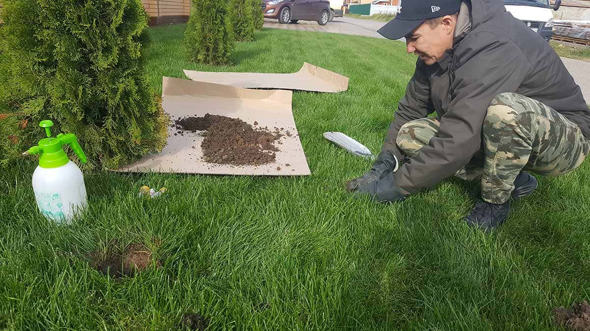 Уничтожение кротов борьба с кротами на садовом участке - Уничтожение и обработка от кротов честные цены – Наша служба оказывает услуги уничтожения кротов и слепышей в Тюмени заказать Уничтожение кротов борьба с кротами на садовом участке - Уничтожение и обработка от кротов честные цены – Наша служба оказывает услуги уничтожения кротов и слепышей в Тюмени заказать