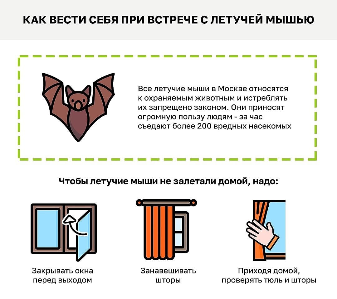 Обработка помещений. Уничтожения клопов. Демеркуризация. Клопы,муравьи, насекомые ROS-DEZ