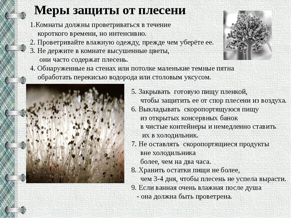 Специалисты санэпидемстанций. Уничтожения грызунов. Демеркуризация. Клопы, тараканы. ROS-DEZ