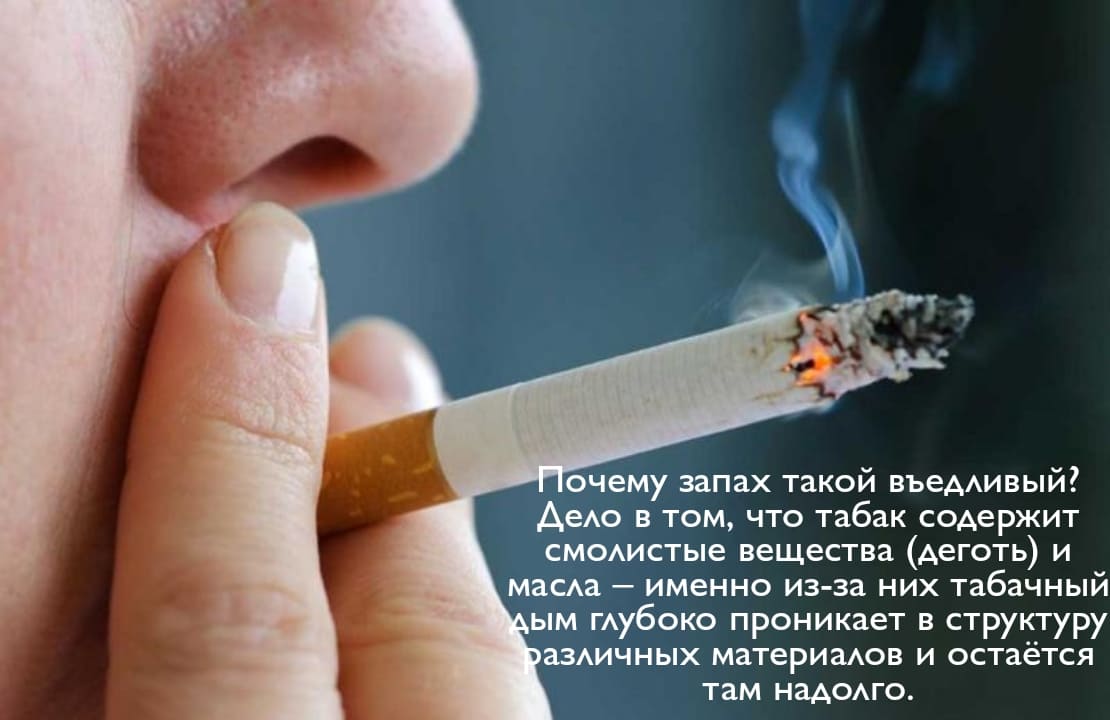 Вызвать СЭС. Уничтожения грызунов. Работа по СанПин. Дезинсекция.Дератизация ROS-DEZ