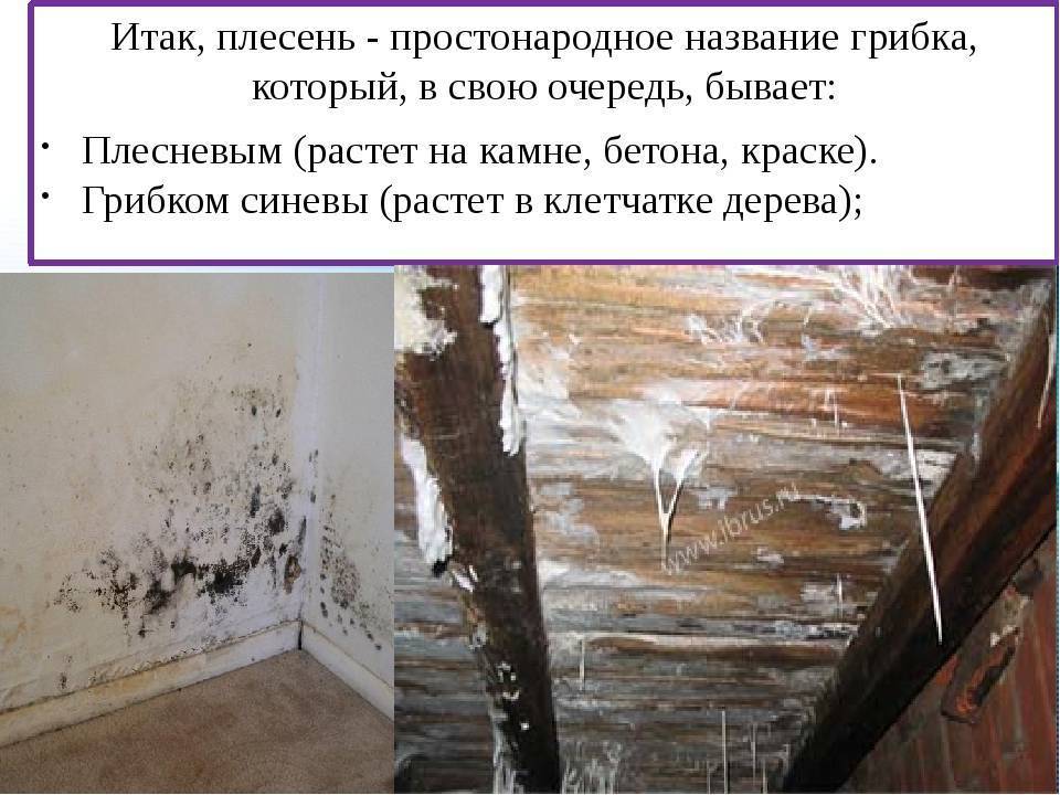 Обработка помещений. Уничтожения клопов. Дезинфекция. Насекомые.Грызуны. ROS-DEZ
