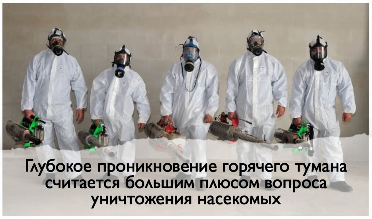 Специалисты санэпидемстанций. Уничтожить насекомых. Противоклещевая обработка. Клещи, блохи, тараканы, клопы ROS-DEZ Сотрудники санэпидемстанции. Истребление насекомых. Демеркуризация. Санитарная обработка помещений ROS-DEZ