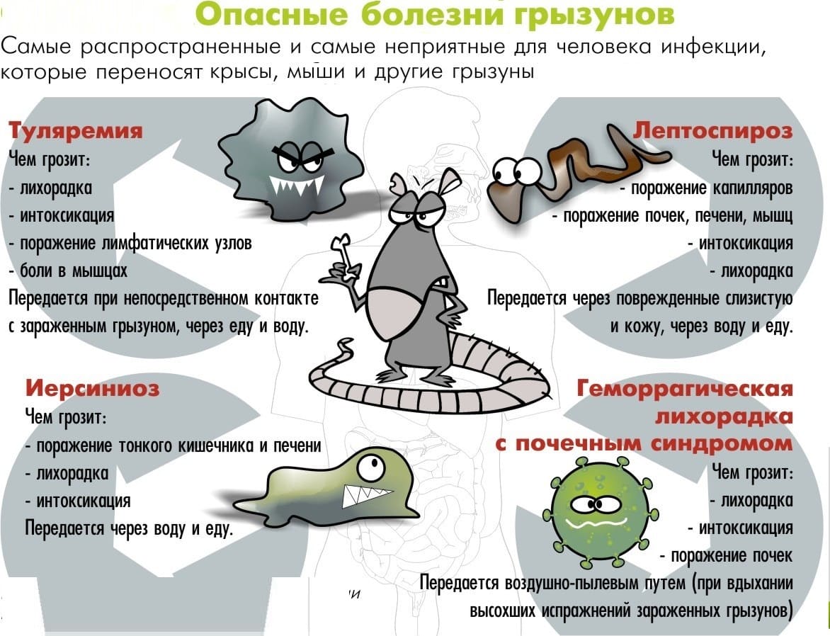 Сайт санэпидемстанции. Уничтожить насекомых. Дезинфекция. Клопы, тараканы. ROS-DEZ Специалисты СЭС. Уничтожение постельных клопов. Акарицидная обработка. Клопы, тараканы. ROS-DEZ