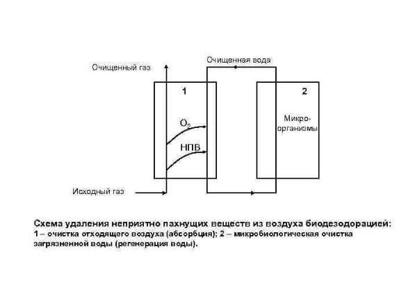 Уничтожение насекомых. Истребление насекомых. Дезинсекция. Клопы,муравьи, насекомые ROS-DEZ