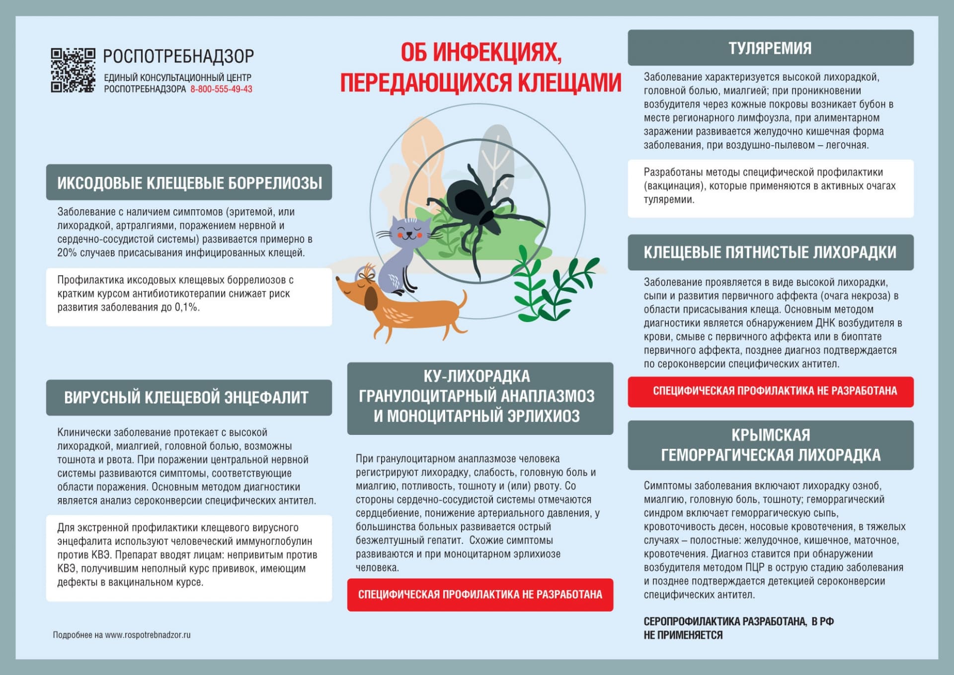 Уничтожение клещей в Выставочном-Центре на дачном участке - карицидная обработка от клещей - Обработку участка клещей в московской области Уничтожение клещей в Выставочном-Центре на дачном участке - карицидная обработка от клещей - Обработку участка клещей в московской области
