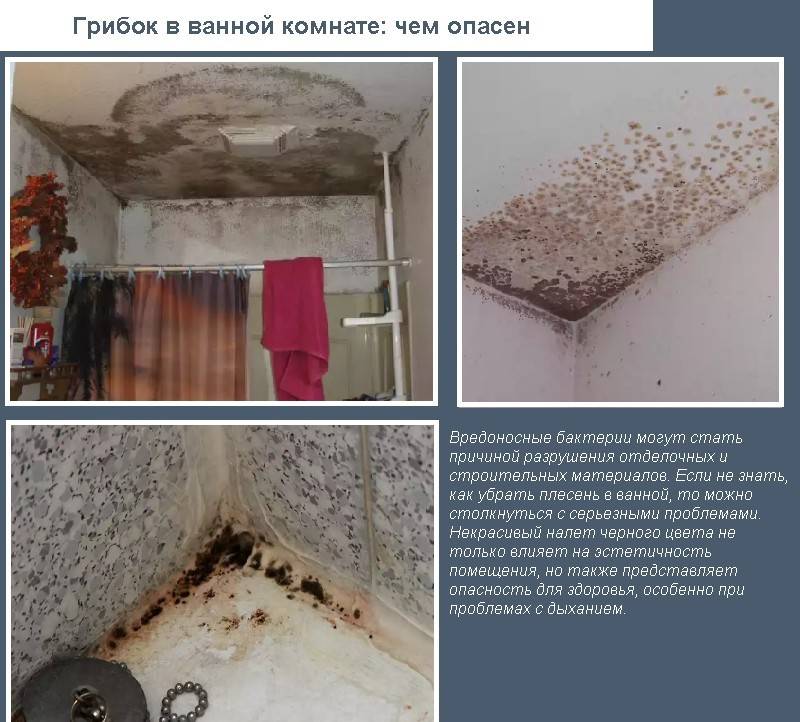 Городская санэпидемстанция. Истребление насекомых. Санитарная обработка. Санитарная обработка помещений ROS-DEZ Санитарно-эпидемиологическая служба. Услугу дезинсекции. Противоклещевая обработка. Насекомые.Грызуны. ROS-DEZ
