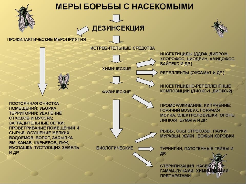 Дезинсекция в Йошкар-Оле и Московской области дезинсекция насекомых и грызунов - Уничтожение насекомых грызунов в Йошкар-Оле цены - Полное уничтожение тараканов в Йошкар-Оле с гарантией
